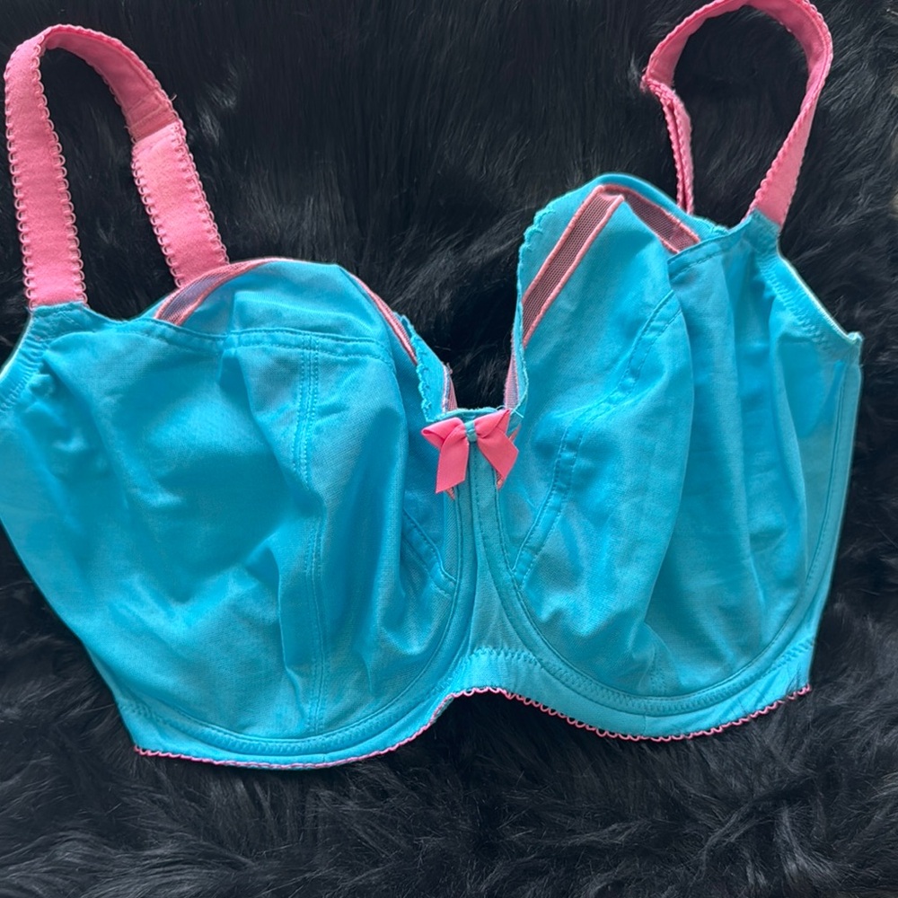 Blue and Pink Bra with Bow Accent
